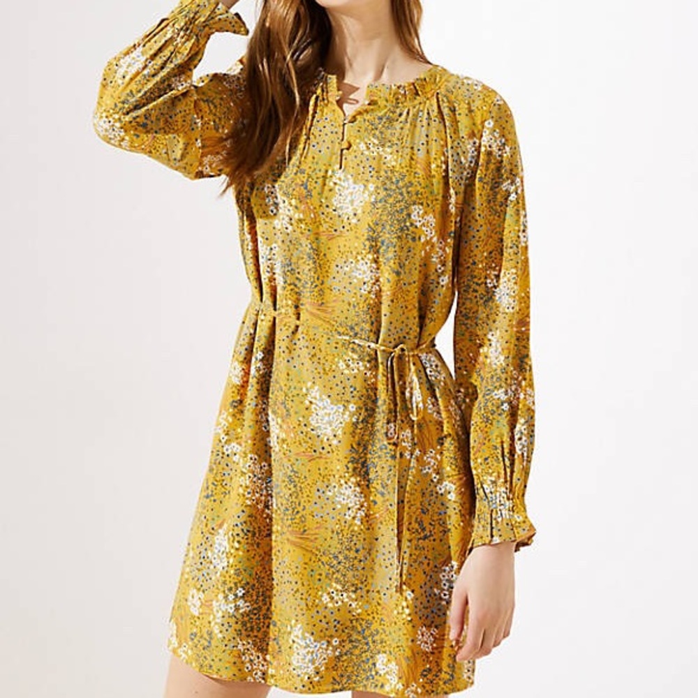 LOFT Meadow Ruffle Dress